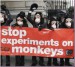 STOP !!! experiments on monkeys !!!